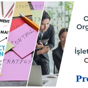 Optimum organizasyon yapısı ve işletme bütçeleri oluşturun